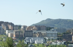 Imagen de OVIEDO STUDENTS RESIDENCE