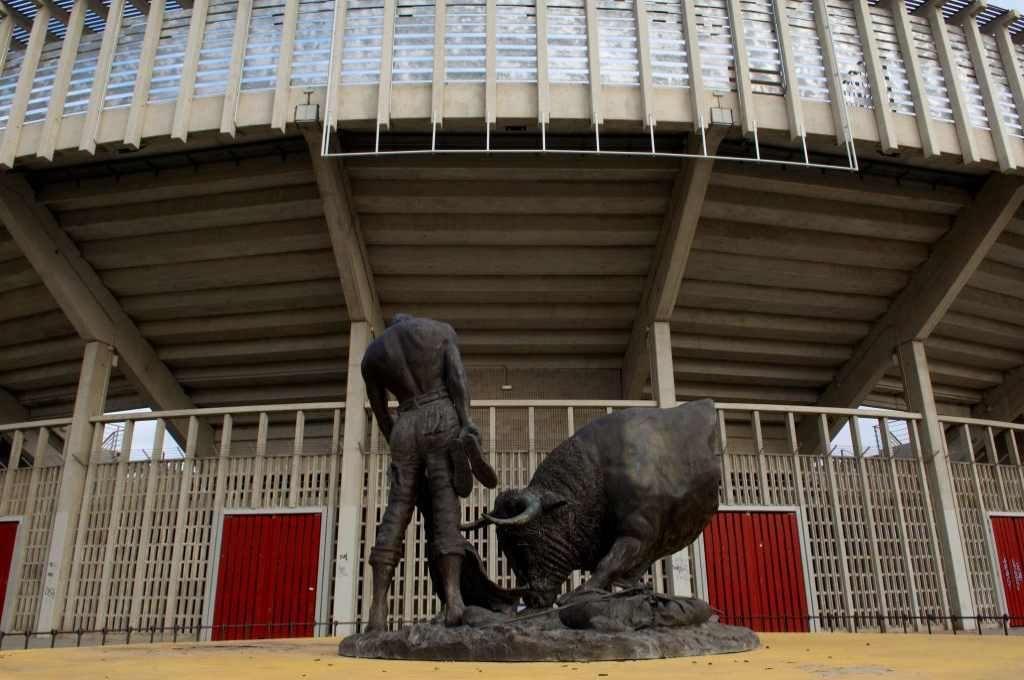 Imagen de PLAZA DE TOROS