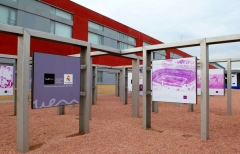 Imagen de POLIDEPORTIVO UNIVERSIDAD EUROPEA UEM