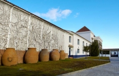 Imagen de NAVE BODEGAS OLARRA